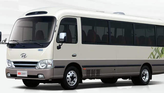Hyundai County 2018